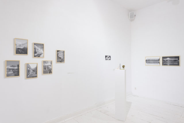 Widok wystawy | exhibition view. Fot. Tytus Szabelski 